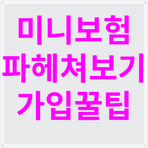미니보험 파헤쳐보기